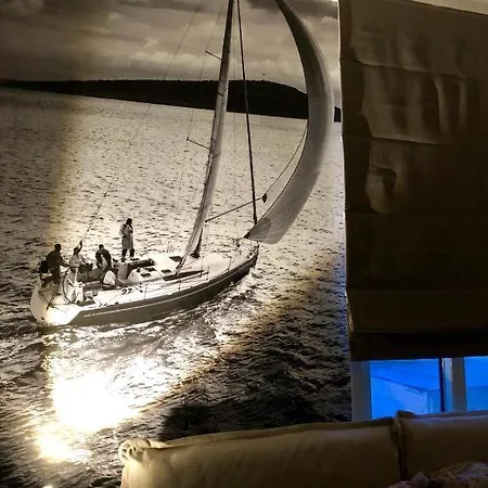 Nautilus * سليمة